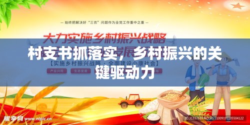 无冬无夏
