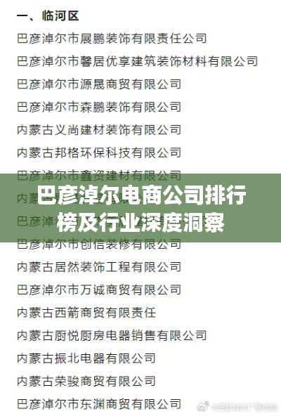 巴彦淖尔电商公司排行榜及行业深度洞察
