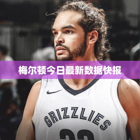 梅尔顿今日最新数据快报