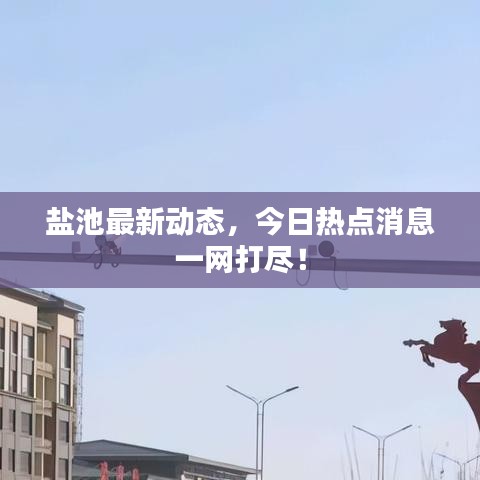 盐池最新动态，今日热点消息一网打尽！