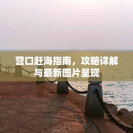 营口赶海指南，攻略详解与最新图片呈现