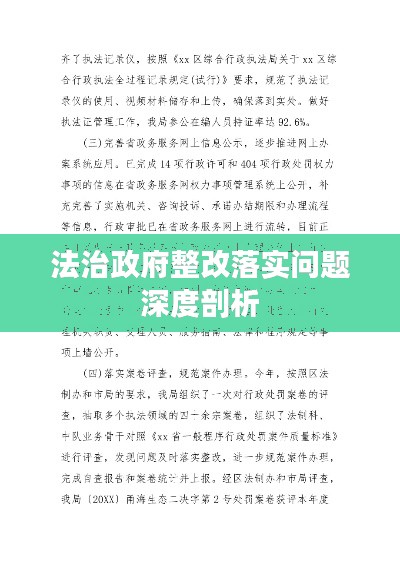 法治政府整改落实问题深度剖析