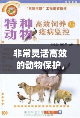 非常灵活高效的动物保护，新时代挑战与策略应对之道