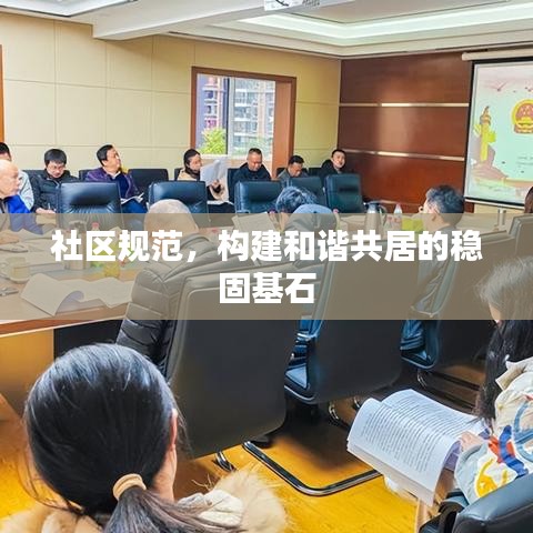 社区规范，构建和谐共居的稳固基石