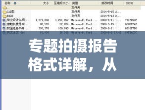 专题拍摄报告格式详解，从策划到呈现的全面指南