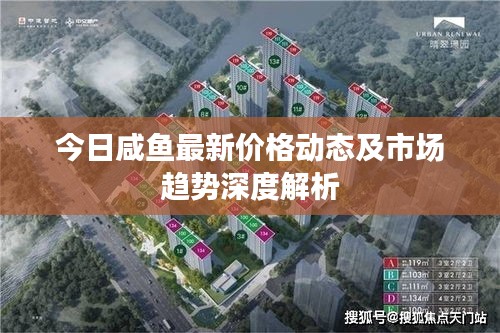 今日咸鱼最新价格动态及市场趋势深度解析