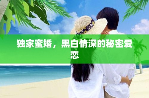 独家蜜婚，黑白情深的秘密爱恋