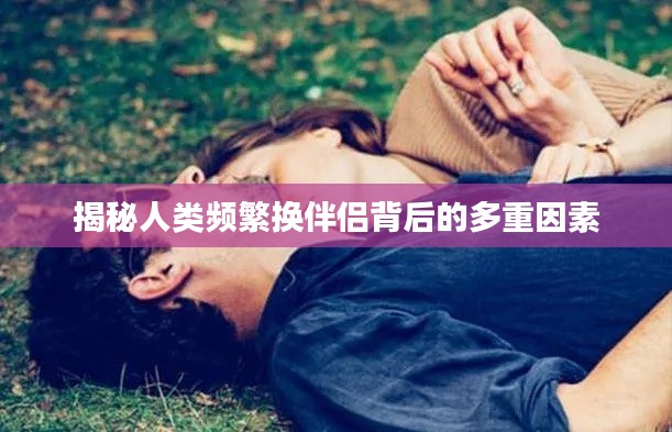 揭秘人类频繁换伴侣背后的多重因素