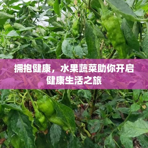 拥抱健康，水果蔬菜助你开启健康生活之旅
