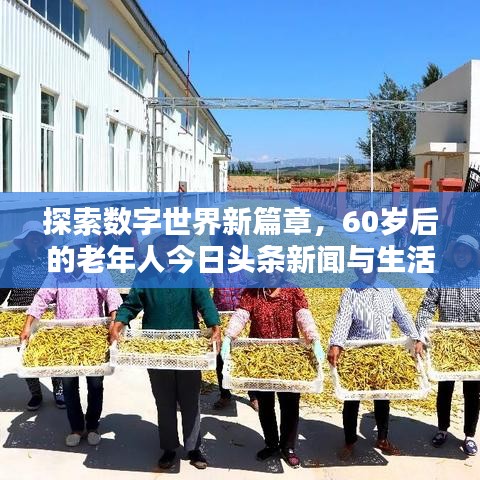 探索数字世界新篇章，60岁后的老年人今日头条新闻与生活点滴分享