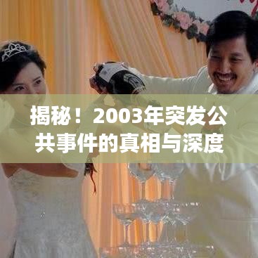 揭秘！2003年突发公共事件的真相与深度探讨