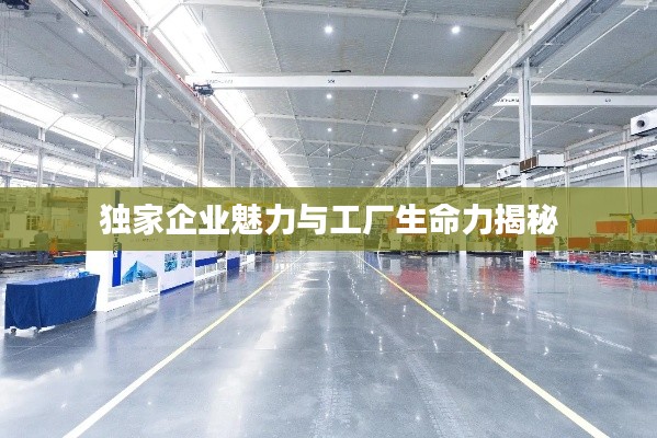 独家企业魅力与工厂生命力揭秘