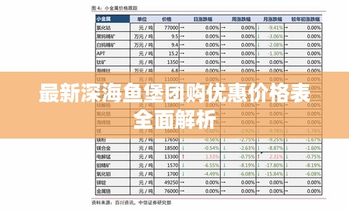 最新深海鱼堡团购优惠价格表全面解析
