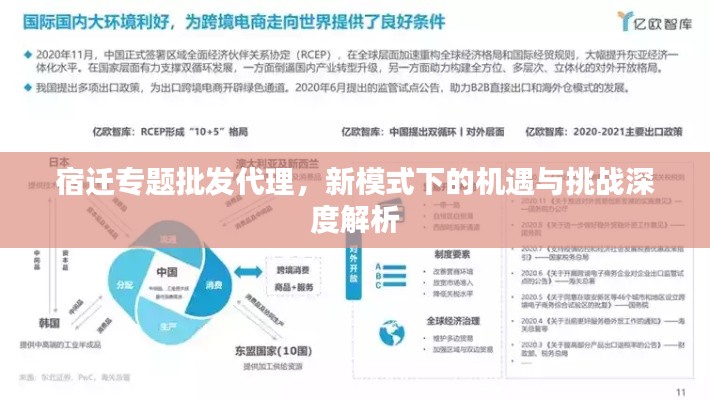 宿迁专题批发代理，新模式下的机遇与挑战深度解析