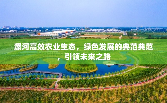 漯河高效农业生态，绿色发展的典范典范，引领未来之路