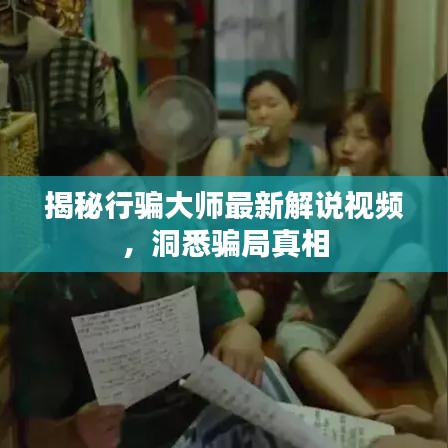 揭秘行骗大师最新解说视频，洞悉骗局真相