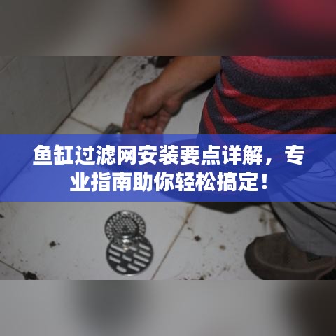 鱼缸过滤网安装要点详解，专业指南助你轻松搞定！