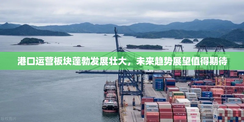 港口运营板块蓬勃发展壮大，未来趋势展望值得期待