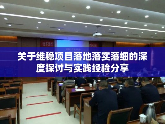 关于维稳项目落地落实落细的深度探讨与实践经验分享