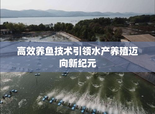 高效养鱼技术引领水产养殖迈向新纪元