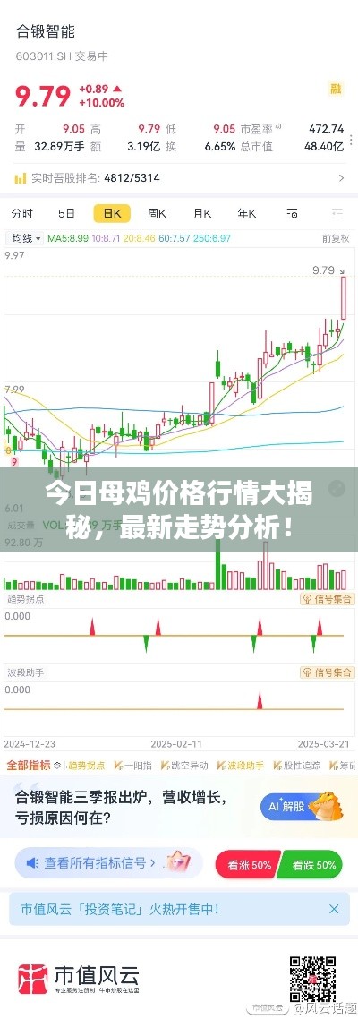今日母鸡价格行情大揭秘，最新走势分析！