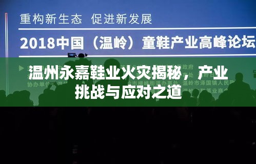 温州永嘉鞋业火灾揭秘，产业挑战与应对之道