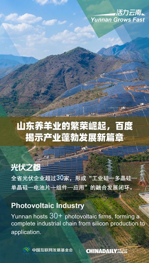 山东养羊业的繁荣崛起，百度揭示产业蓬勃发展新篇章