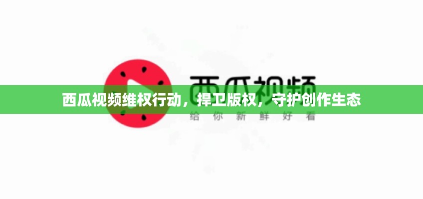 西瓜视频维权行动，捍卫版权，守护创作生态