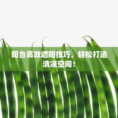 阳台高效遮阳技巧，轻松打造清凉空间！
