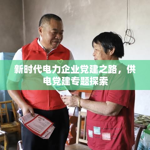 新时代电力企业党建之路，供电党建专题探索