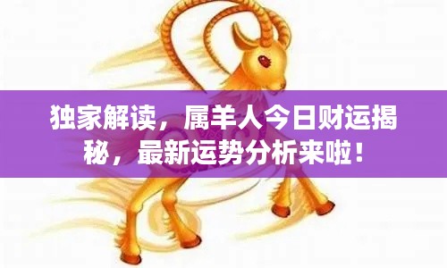独家解读，属羊人今日财运揭秘，最新运势分析来啦！