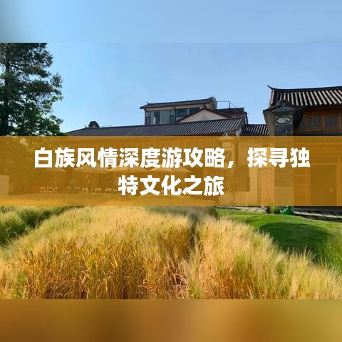 白族风情深度游攻略，探寻独特文化之旅