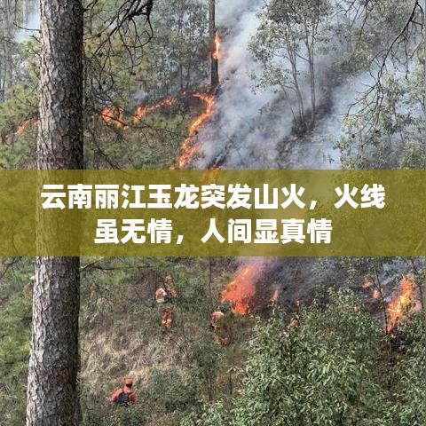 津津有味