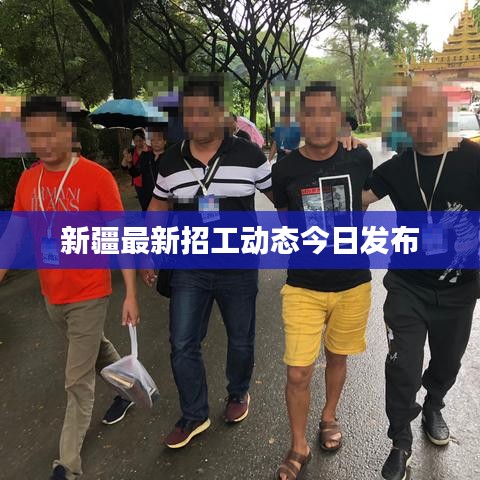 新疆最新招工动态今日发布