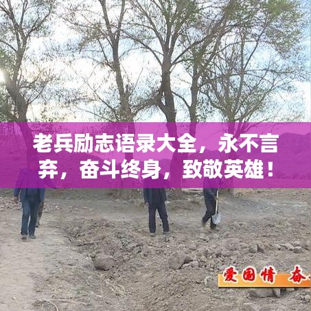 老兵励志语录大全，永不言弃，奋斗终身，致敬英雄！