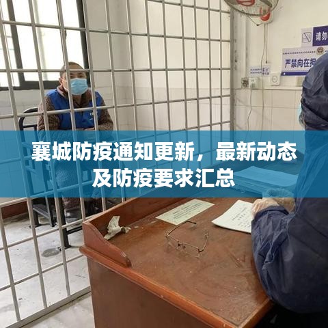 襄城防疫通知更新，最新动态及防疫要求汇总