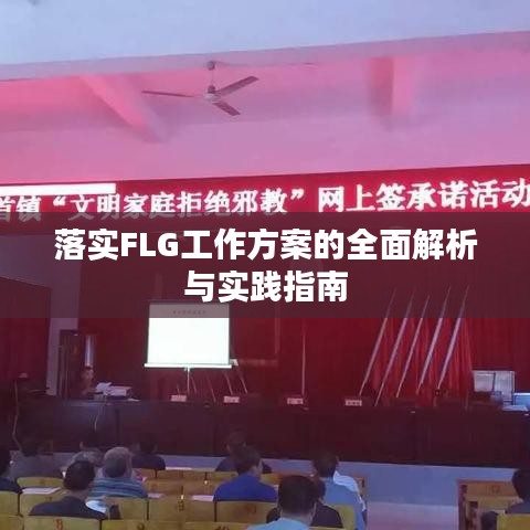 落实FLG工作方案的全面解析与实践指南