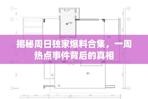 交货现场 第15页