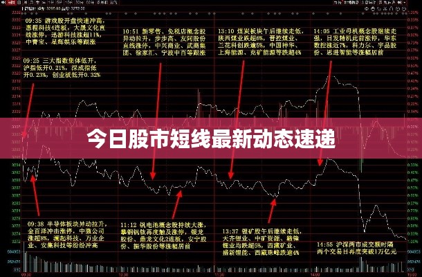 今日股市短线最新动态速递