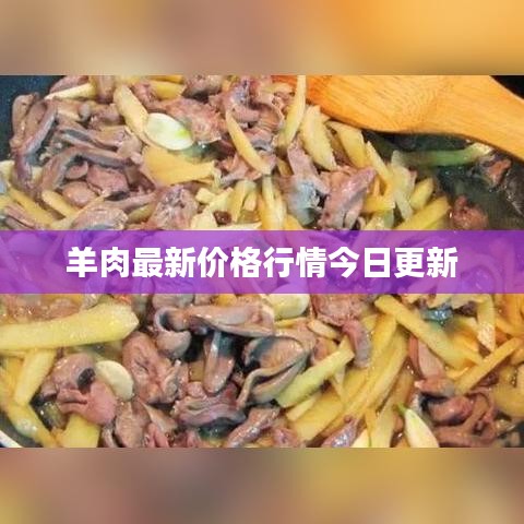 羊肉最新价格行情今日更新