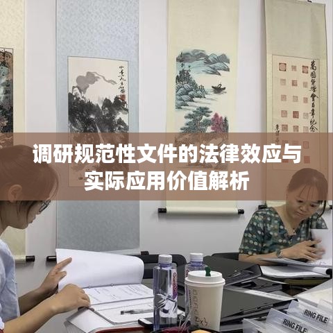 调研规范性文件的法律效应与实际应用价值解析