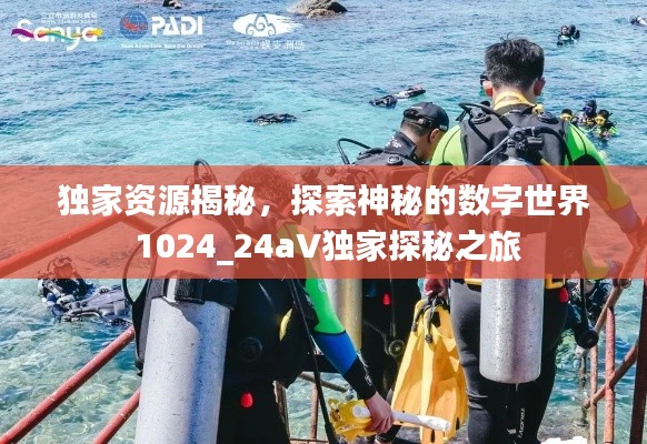 独家资源揭秘，探索神秘的数字世界 1024_24aV独家探秘之旅