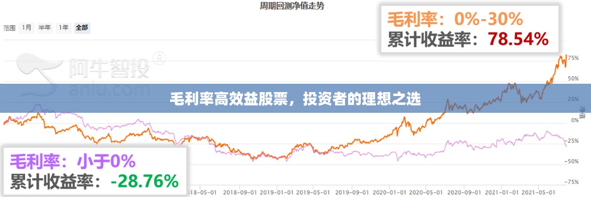 毛利率高效益股票，投资者的理想之选