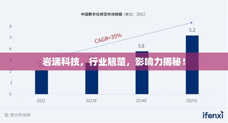 岩瑞科技，行业翘楚，影响力揭秘！