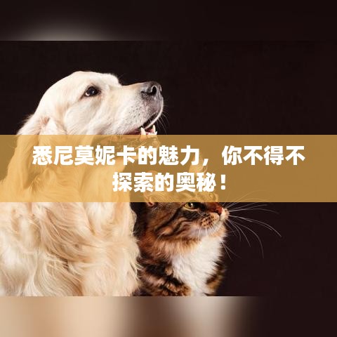 悉尼莫妮卡的魅力，你不得不探索的奥秘！