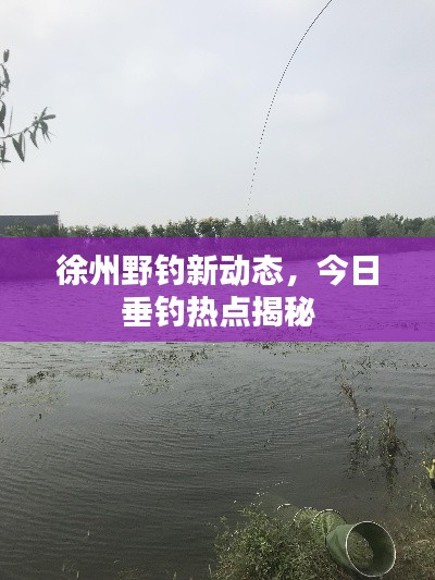 徐州野钓新动态，今日垂钓热点揭秘