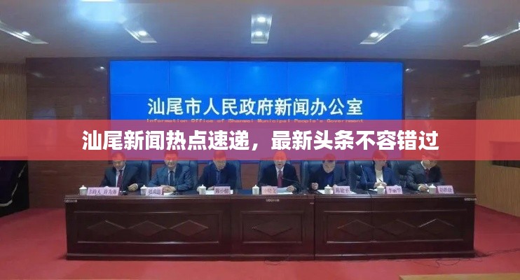 汕尾新闻热点速递，最新头条不容错过
