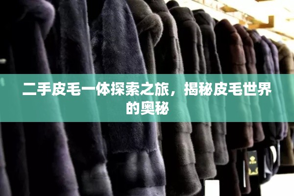 二手皮毛一体探索之旅，揭秘皮毛世界的奥秘