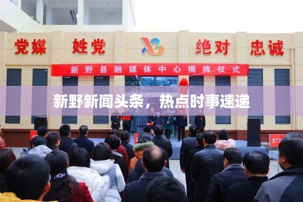 新野新闻头条，热点时事速递