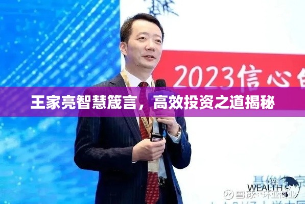 王家亮智慧箴言，高效投资之道揭秘